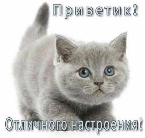 Приветик