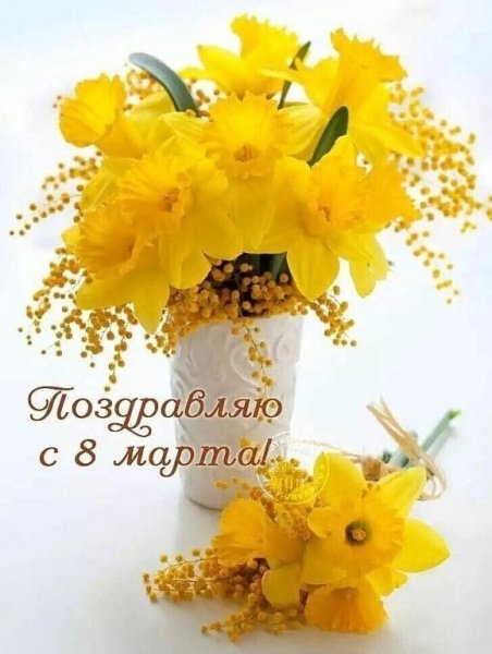 IMG-20230308-WA0056
