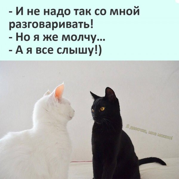 IMG 20250321 090652 948