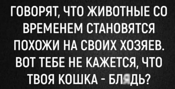 IMG 20260211 715