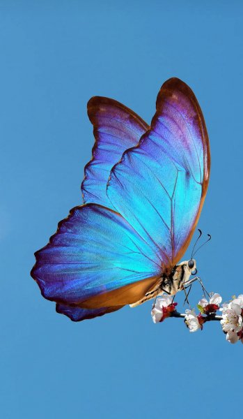 Screenshot 20240926-060741