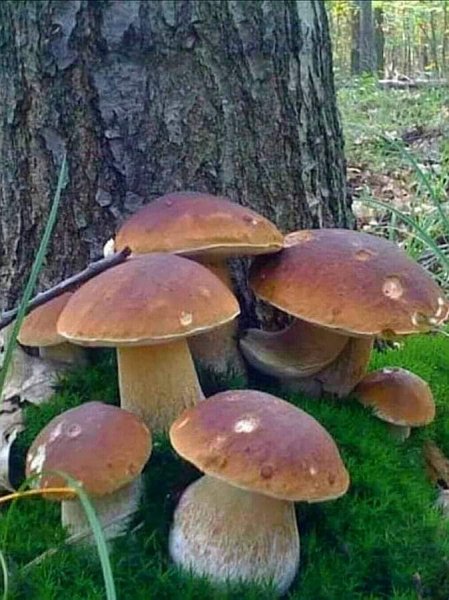 FB IMG 1618156509242