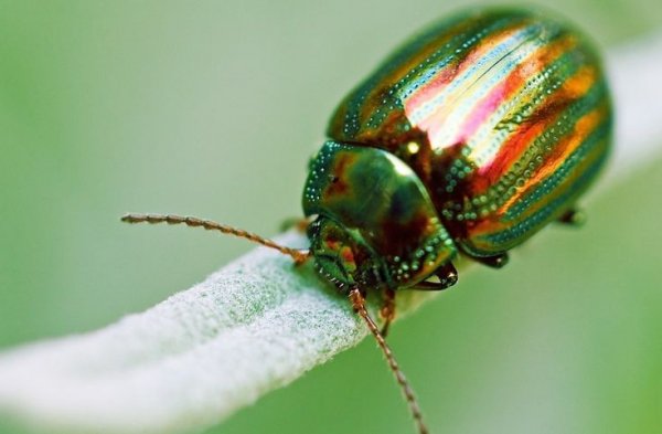 33ce59367fc7f40c9a0d5207aeb34a8f