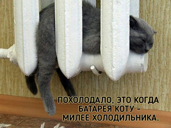 7b9a2cda2d48c5054330f9a681551042