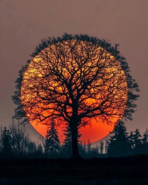 EIt52MeVScXnwixTHB-JnBJaqIJHB4xyQlAjj0FZafXxU5ToIvTD1wAzAw4r
