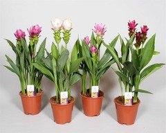 f2ea8ebbba85f82a5c9131ed66b65