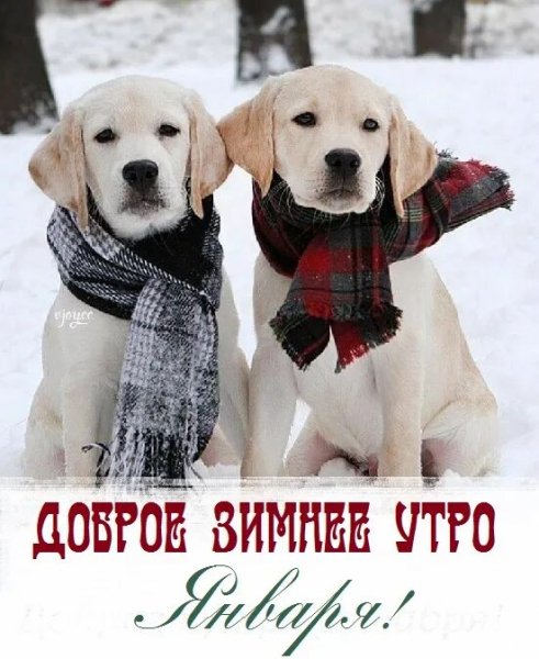 Всем вам!