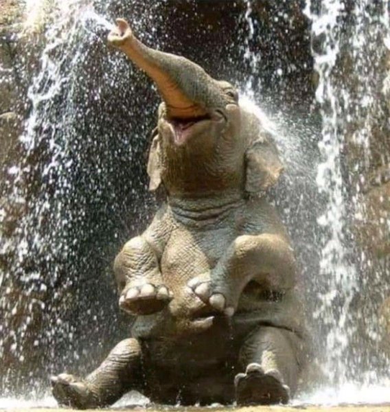 e443cdc34ea9d52181103c1bbea10