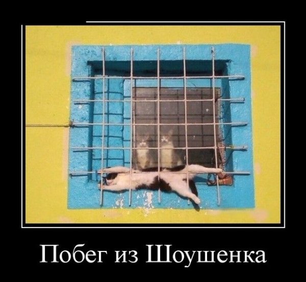 6f1d498fd338d6568a9c657c460d2d65