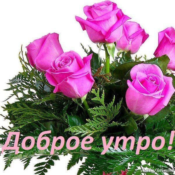jIjsy u0pyY