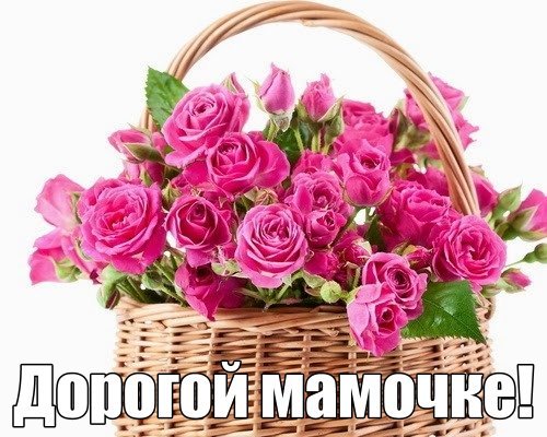 mid 73391 9350