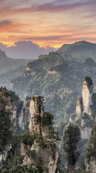 Screenshot 20260122-111430 One UI Home