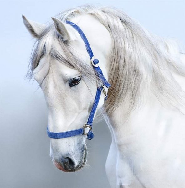 22-55-57-240390938 601228304585857 6486930213340931651 n