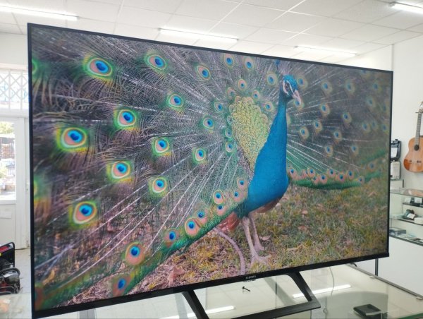 -5262669719402569755 121