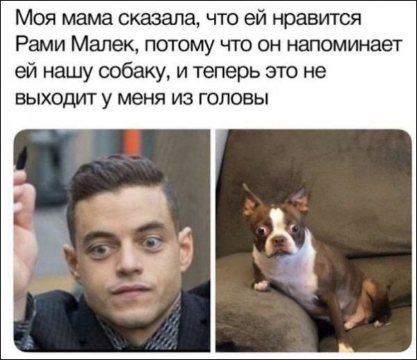 comments-11042020-018