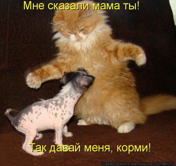 Корми!