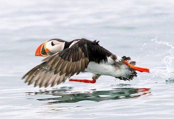 I - 2025-08-23T020959.356