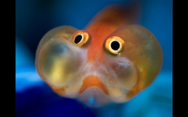 ob 932b95 screenshot003