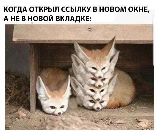 IMG 20250213 081134 762