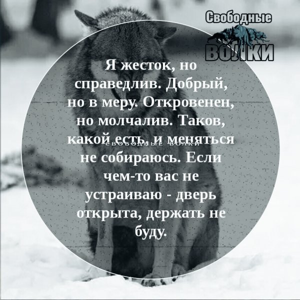 picture_404868370