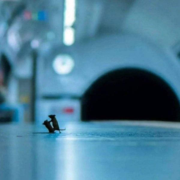 IMG 20260422 151405 494