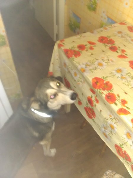 Опа па !!!