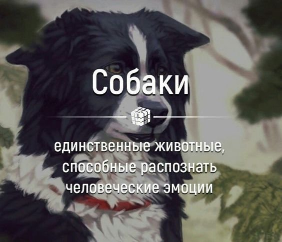 be201c7bad5908fc3911111a57511a1f