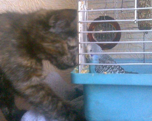 Познакомимся