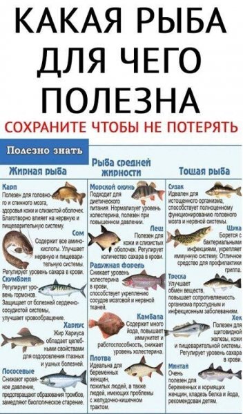 Рыба - это полезно