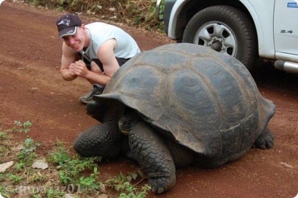 Скриншот 2014.04.12 13h13m15s 006