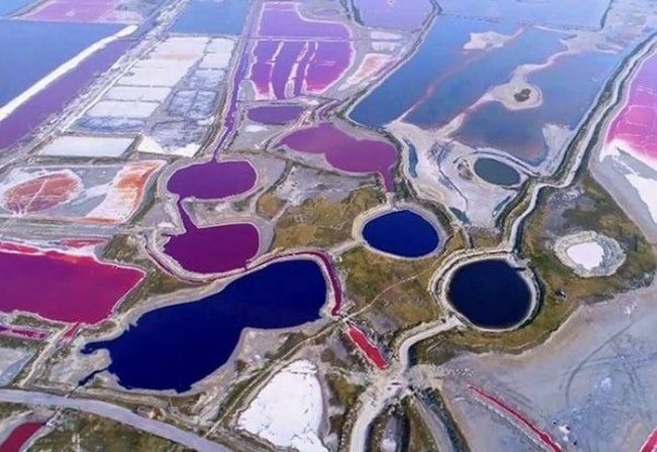 РАЗНОЦВЕТНЫЕ ОЗЁРА Соленое озеро Яньху превратилось в разно