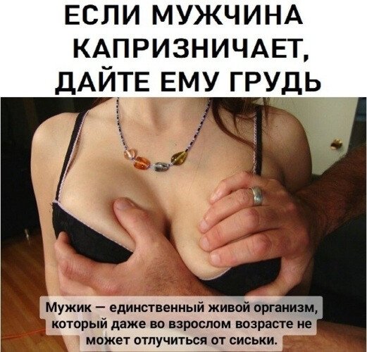 picture_411762412