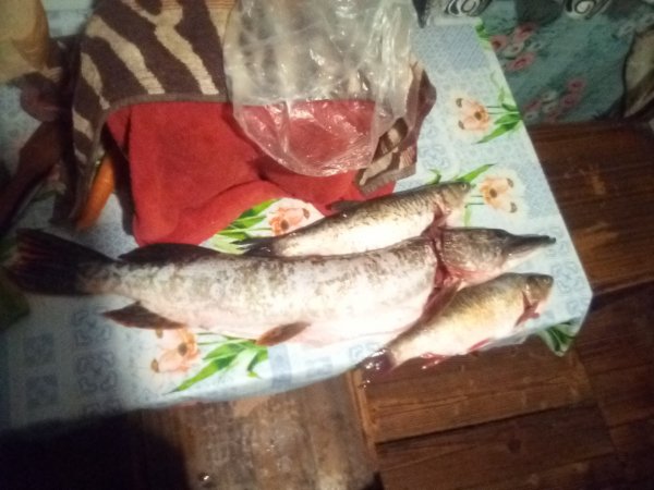 Рыбалка