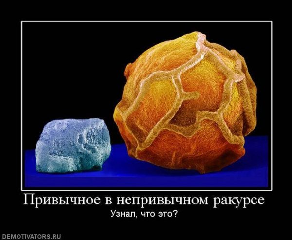 Demotivator (19)