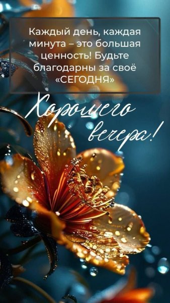 IMG 20251005 200448