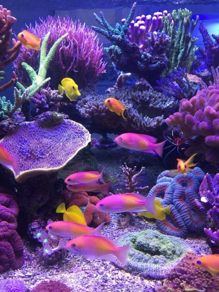 a712e6aaa0e5d46a8355b6b6