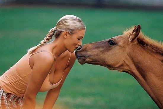 KISS Love-and-animal