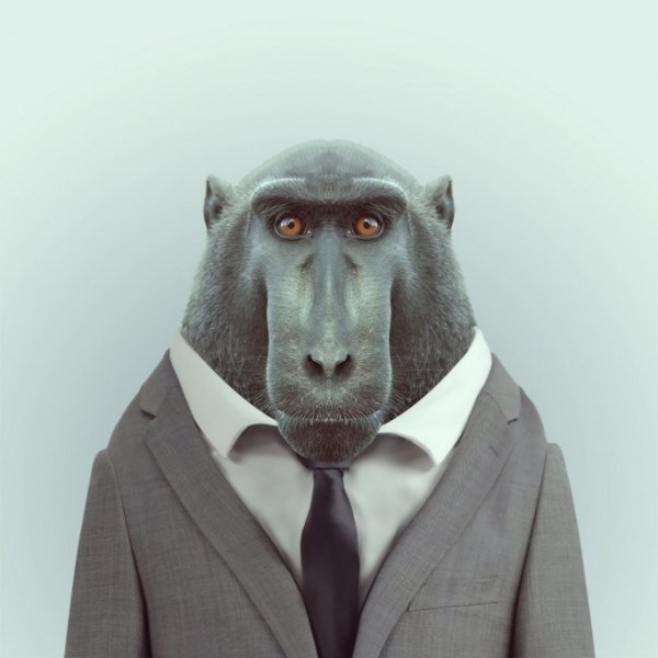 Zoo-Book pixanews-15-680x680