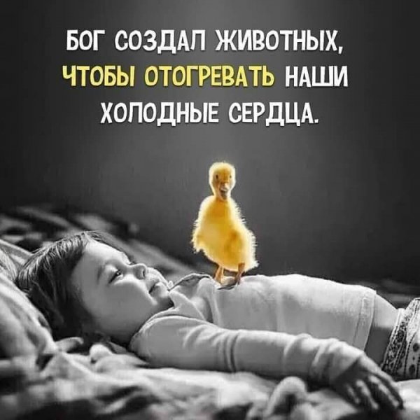 IMG 20220815 133622 701