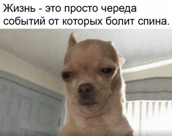 c26c9d4 1744949740