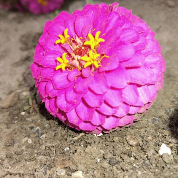 IMG 20201009 201705 085