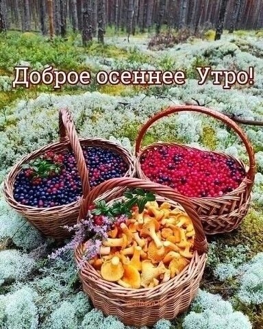 picture_349228450