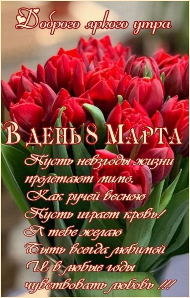 8c36da8c586754a1a524ed5ded4c4db1