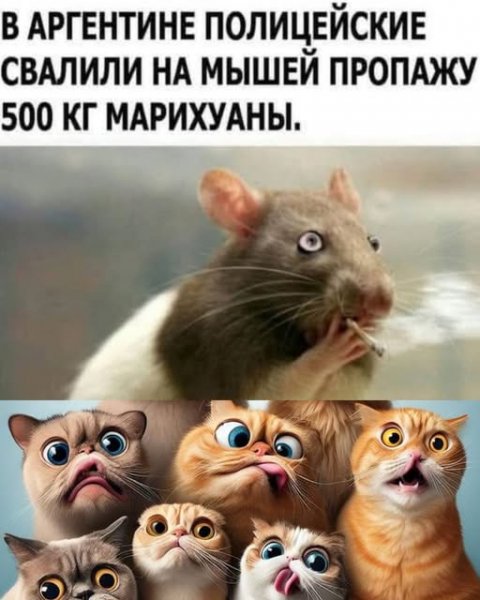 Bfec437b98 19964321