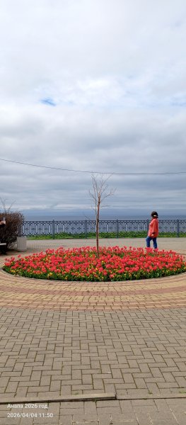 Анапа. Море, небо и тюльпаны