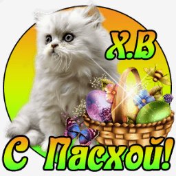 getImage(694)