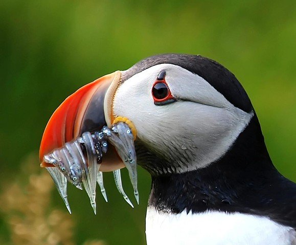 I - 2025-08-23T020718.283