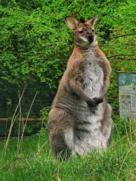 -5415914594905483565 121