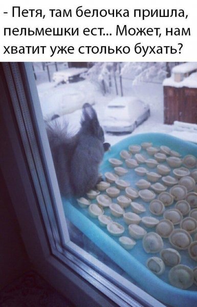 Photo 2020-11-08 15-14-37