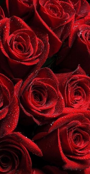 Арт Природа